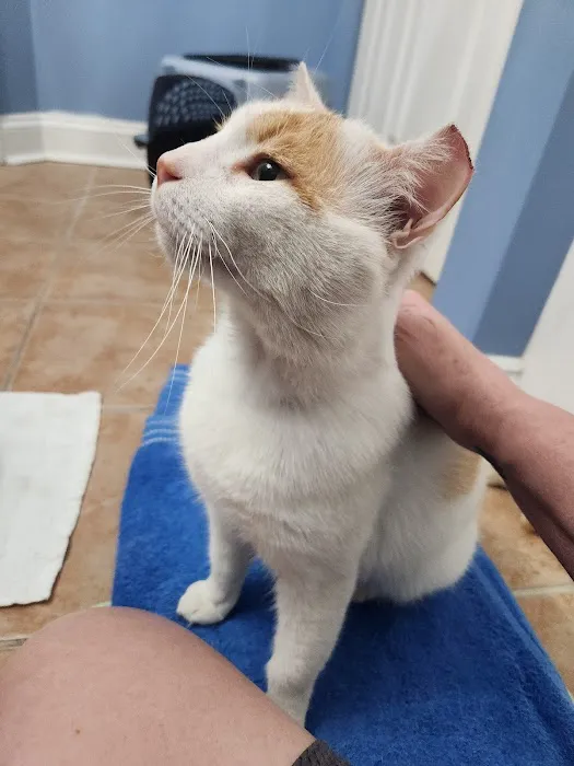 Fix A Friend Spay Neuter Clinic Picture 5