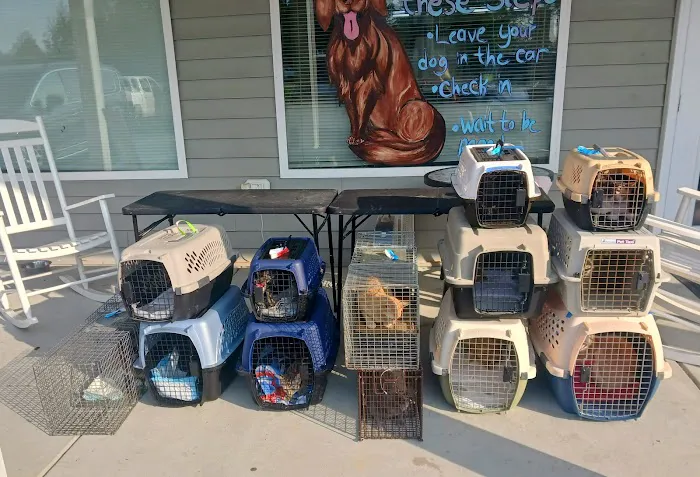 Fix A Friend Spay Neuter Clinic Picture 6