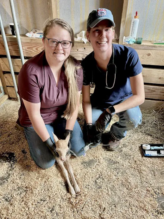 Smoky Mountain Farmers Co-op - Veterinary Services Picture 2
