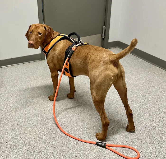 Appalachian Veterinary Hospital Picture 5