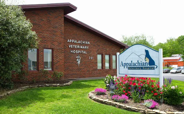 Appalachian Veterinary Hospital Picture 7