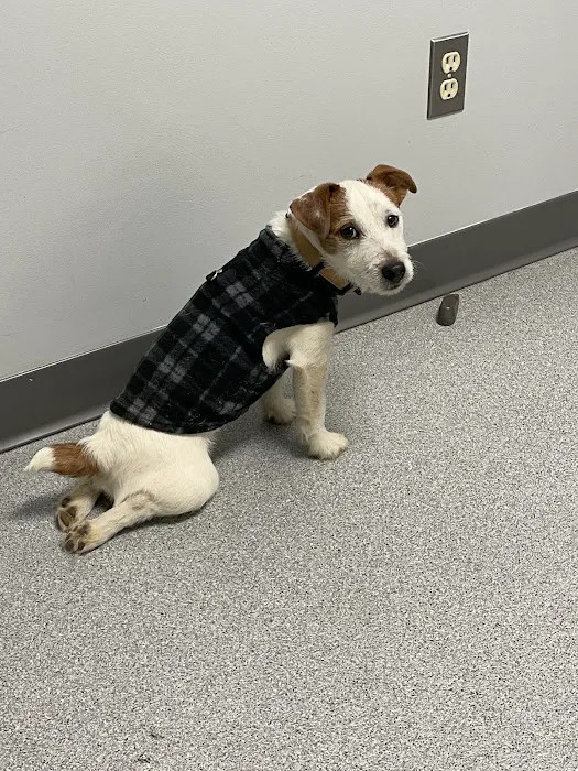 Appalachian Veterinary Hospital Picture 8