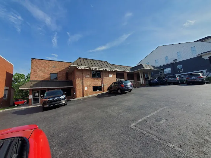 Central Veterinary Hospital Picture 8