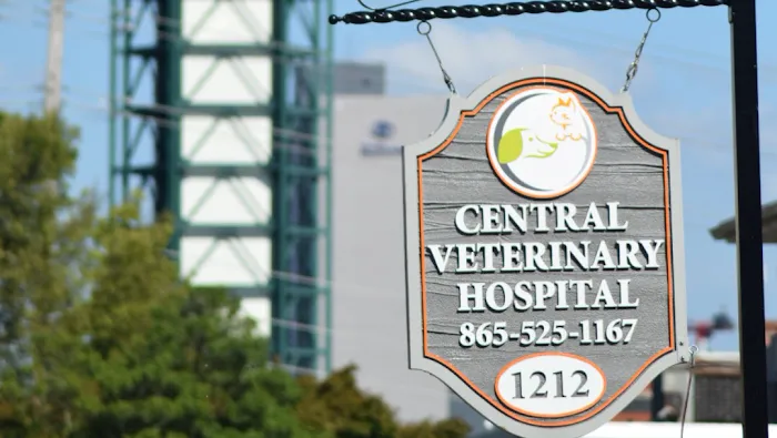 Central Veterinary Hospital Picture 10