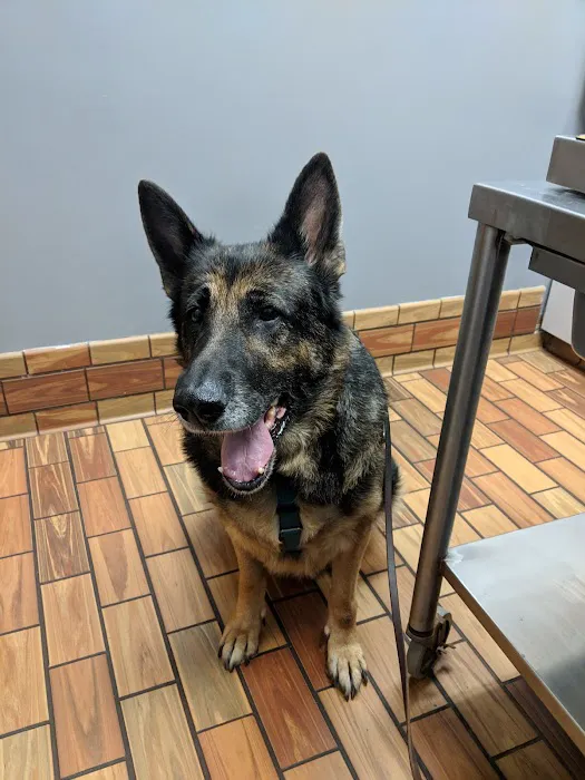 Central Veterinary Hospital Picture 9