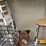 Tickle Small Animal Hospital