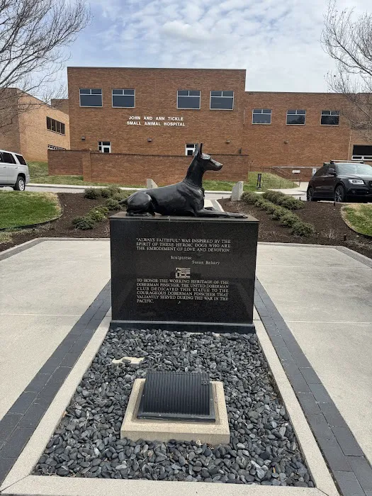 UT Veterinary Medical Center Picture 6