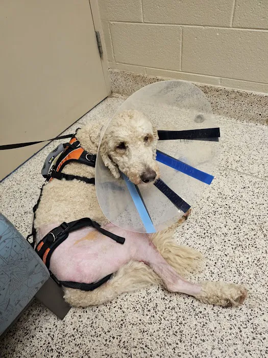 UT Veterinary Medical Center Picture 7