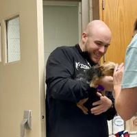 The University of Tennessee Veterinary Teaching Hospital ico