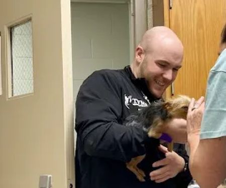 The University of Tennessee Veterinary Teaching Hospital