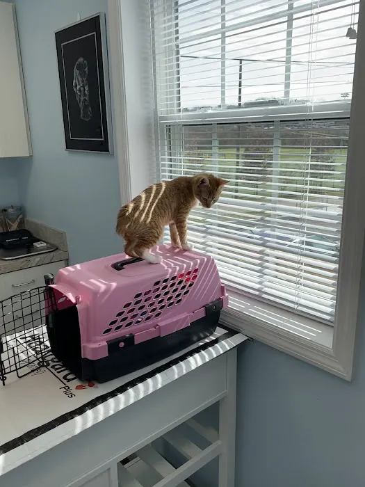 Forest Park Animal Clinic Picture 3