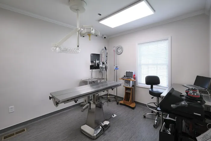 Forest Park Animal Clinic Picture 4