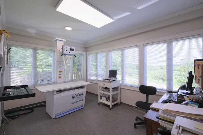Forest Park Animal Clinic Picture 8