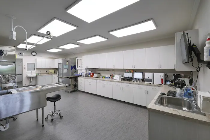 Forest Park Animal Clinic Picture 10