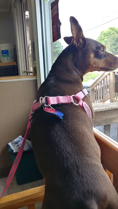 Wise County Animal Hospital Picture 5
