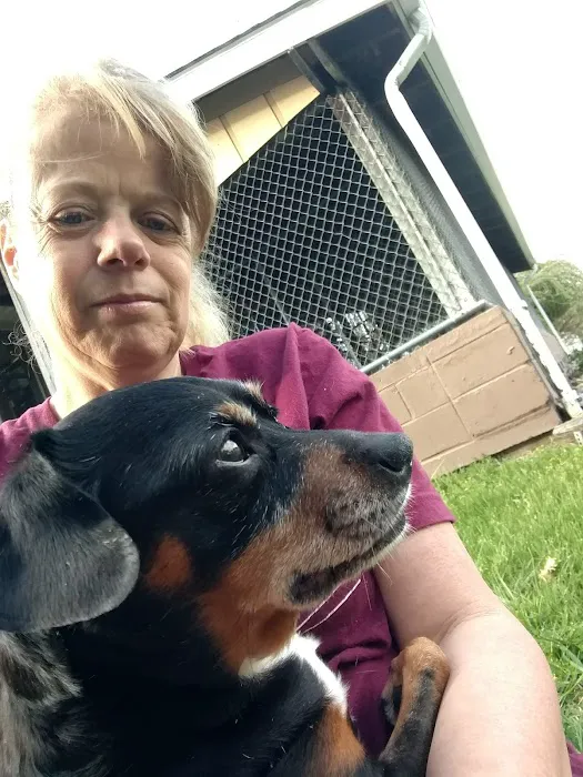 Wise County Animal Hospital Picture 7
