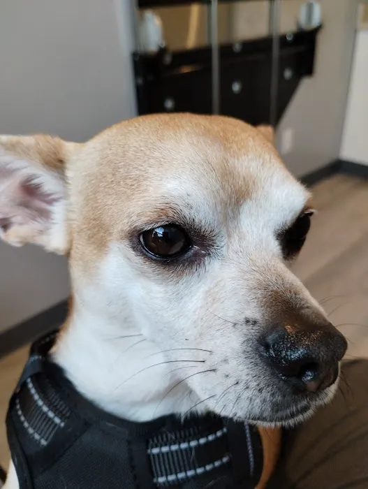Wise County Animal Hospital Picture 8