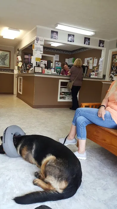 Wise County Animal Hospital Picture 10