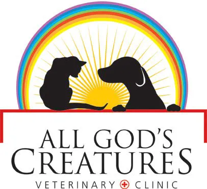 God's Creatures Veterinary Services Picture 1