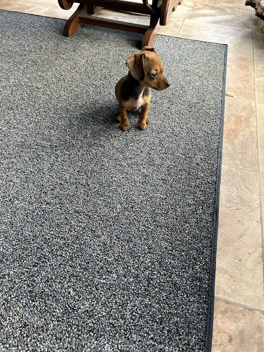 Boyd's Creek Animal Hospital Picture 6