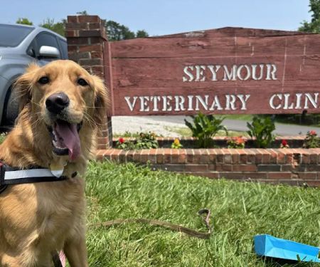 Seymour Veterinary Clinic