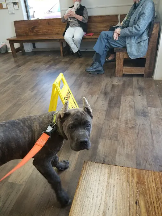 Seymour Veterinary Clinic Picture 8