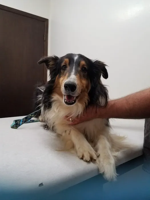 Seymour Veterinary Clinic Picture 6