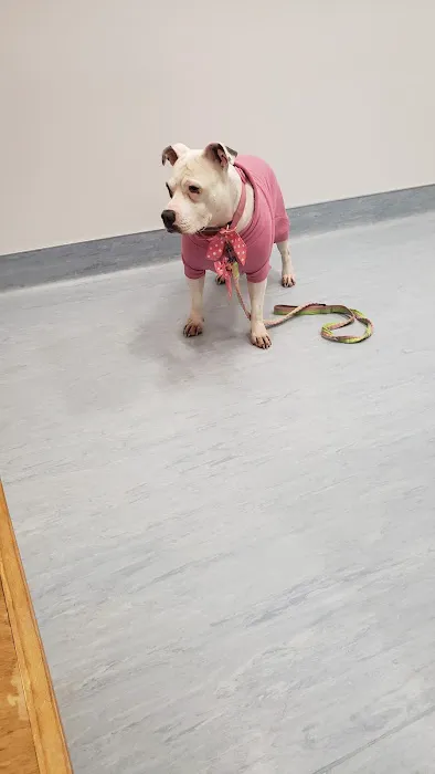 Sevier County Animal Clinic Picture 5