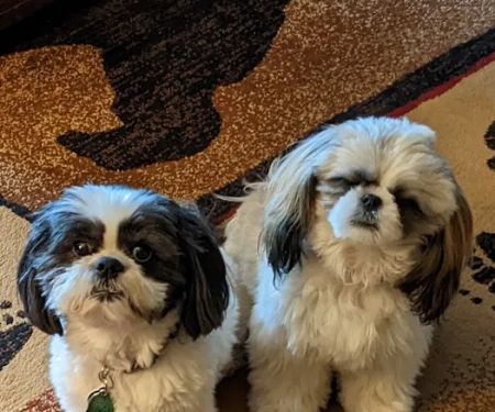Parkway Animal Hospital