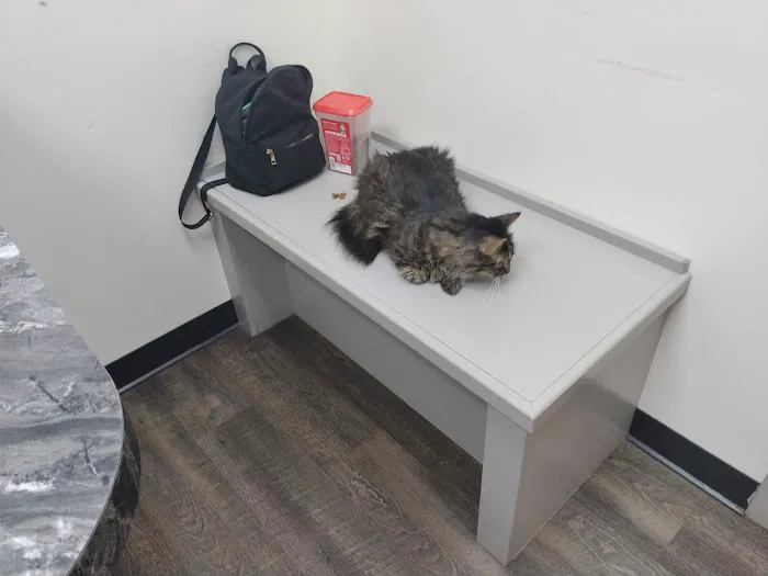 Dogwood Animal Hospital: Dr JR Killey DVM Picture 2