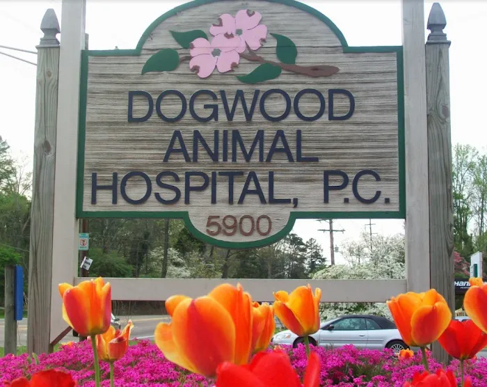 Dogwood Animal Hospital: Dr JR Killey DVM Picture 4