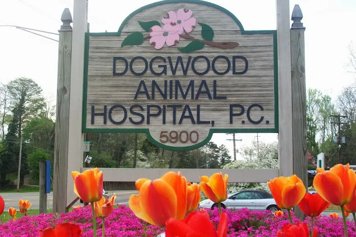 Dogwood Animal Hospital Picture 2