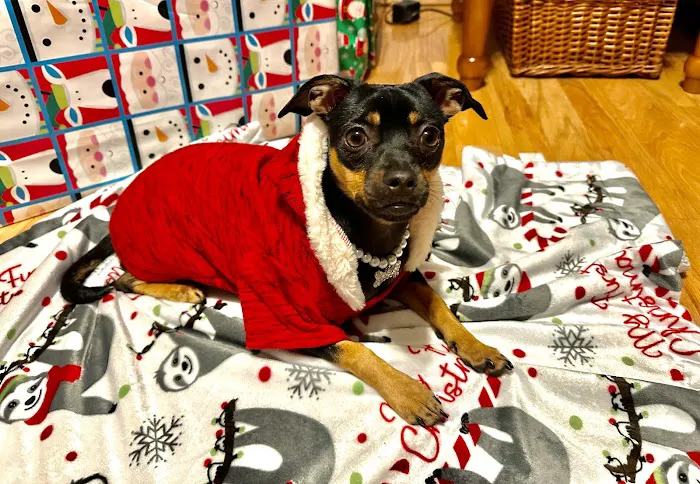 Dogwood Animal Hospital Picture 9