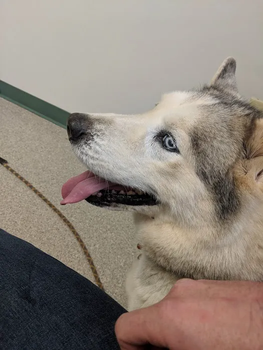 Governor John Sevier Animal Clinic Picture 8