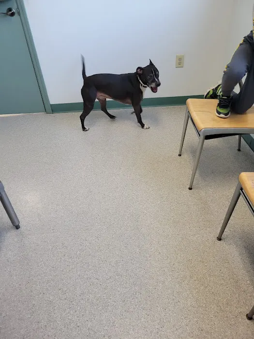 Governor John Sevier Animal Clinic Picture 5