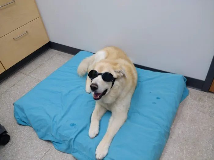 Animal Wellness and Rehabilitation Center (AWRC) Picture 10