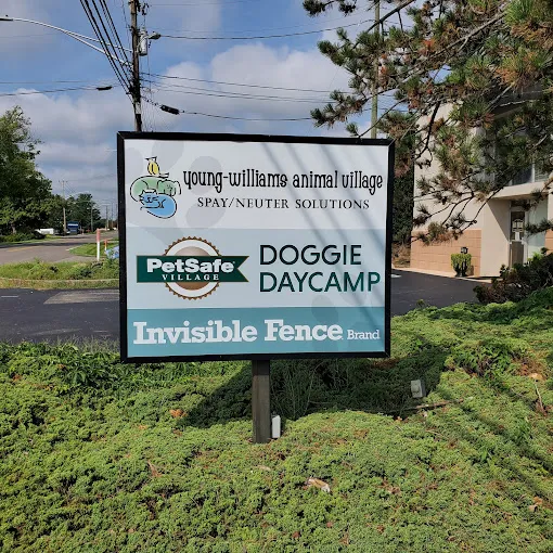 Young-Williams Spay/Neuter Solutions Picture 3