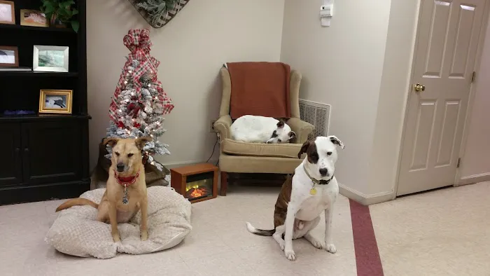 Bearden Hill Veterinary Clinic Picture 5