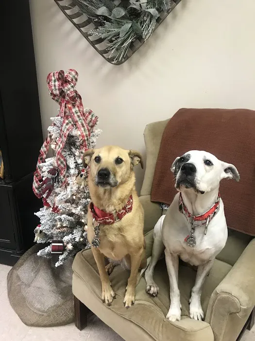 Bearden Hill Veterinary Clinic Picture 6