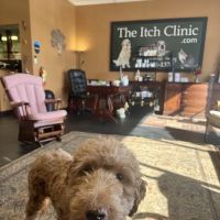 The Itch Clinic ico