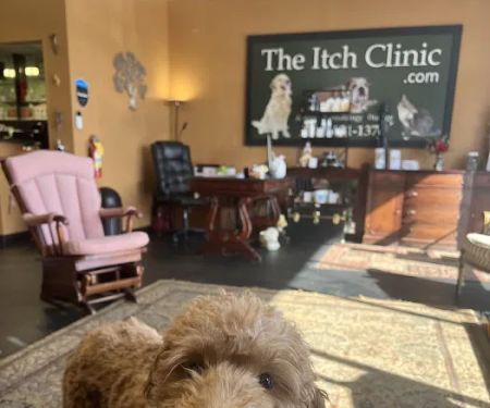 The Itch Clinic