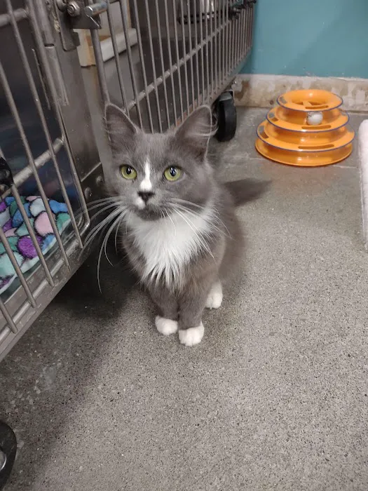 Banfield Pet Hospital Picture 3