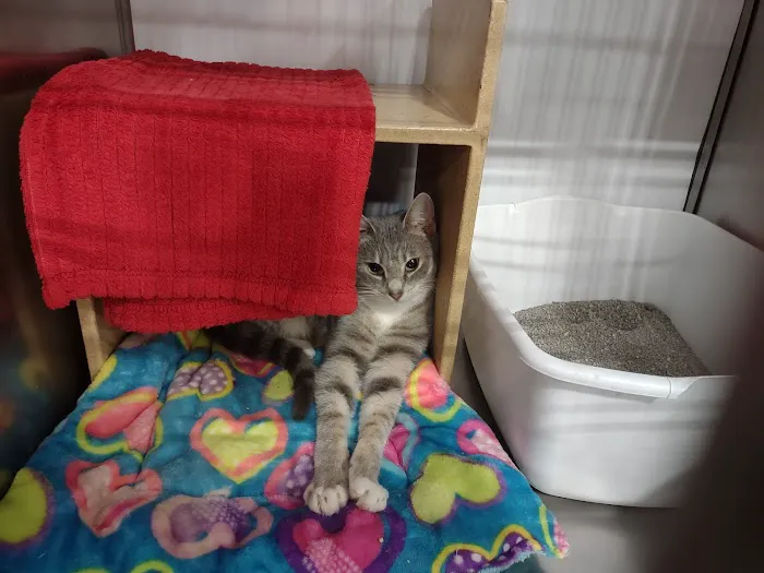 Banfield Pet Hospital Picture 2