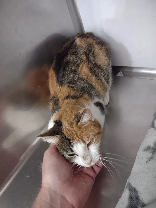 Banfield Pet Hospital Picture 4