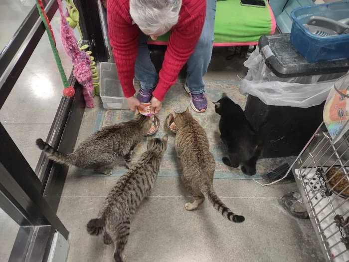 Banfield Pet Hospital Picture 8