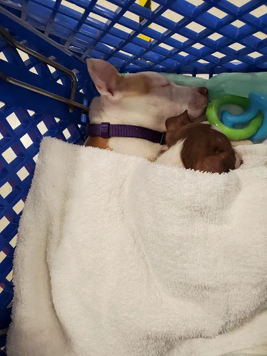 Banfield Pet Hospital Picture 6