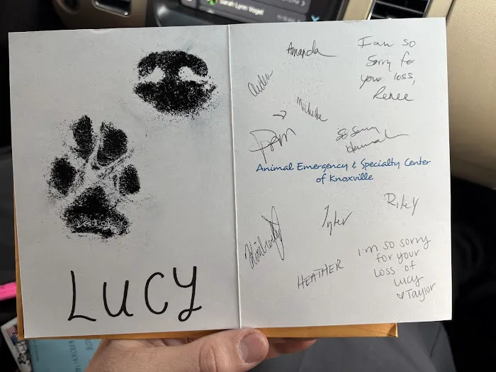 Animal Emergency & Specialty Center of Knoxville Picture 8