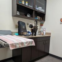 Village Veterinary Medical Center, A Thrive Pet Healthcare Partner ico