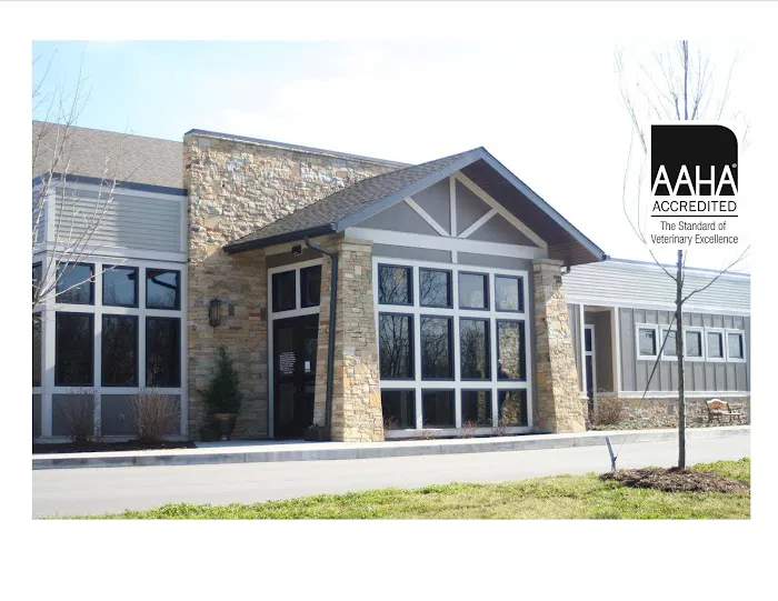 Village Veterinary Medical Center, A Thrive Pet Healthcare Partner Picture 8