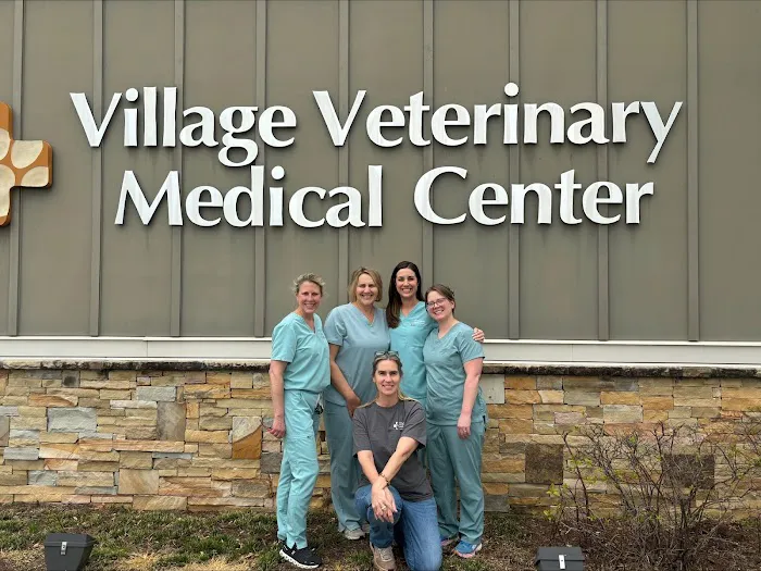 Village Veterinary Medical Center, A Thrive Pet Healthcare Partner Picture 10